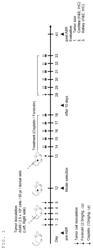 Pharmaceutical composition for preventing or treating sensorineural hearing loss, containing forskolin and retinoic acid as active ingredients