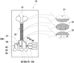 Blood diagnostic device