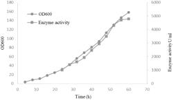 Method for producing psicose 3-epimerase by high-density fermentation