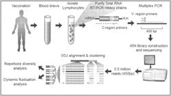 High-throughput immune sequencing