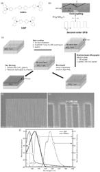 Continuous-wave organic thin-film distributed feedback laser and electrically driven organic semiconductor laser diode