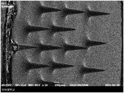 MICRONEEDLE BIOSENSOR AND MANUFACTURING METHOD FOR SAME