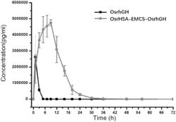 RECOMBINANT HUMAN SERUM ALBUMIN-THERAPEUTIC DRUG CONJUGATE