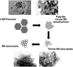 BORON NITRIDE NANOSTRUCTURES