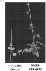 Methods for carbon capture and increasing yield of plants