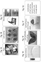 Compositions and related methods for controlling vector-borne diseases