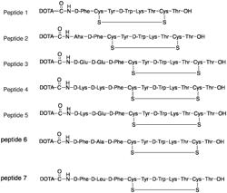 TARGETED ALPHA PARTICLE THERAPY FOR SOMATOSTATIN RECEPTOR 2 POSITIVE NEUROENDOCRINE TUMORS AND METASTASES