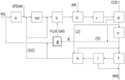 Method for Production of Blue Ammonia