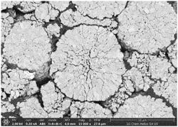 Positive Electrode Active Material for Lithium Secondary Battery, and Positive Electrode and Lithium Secondary Battery Which Include the Same