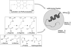 ENGINEERING PEPTIDES FOR A A VB6 INTEGRIN BINDING AND RELATED METHODS OF USE AND SYNTHESIS