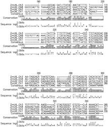 COMPOSITIONS AND METHODS FOR SITE DIRECTED GENOMIC MODIFICATION