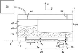 Method and Microfluidic Device for Studying Cell Deformations