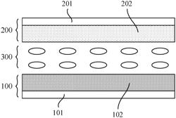 Array Substrate and Manufacturing Method Thereof, and Display Apparatus