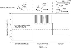 Amplification reporter with base-pairing oligomers