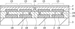 Display device and electronic apparatus