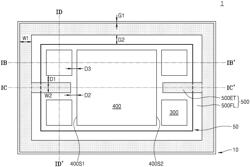 Semiconductor package having stiffener structure