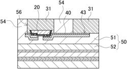 Surface light source and method of manufacturing surface light source