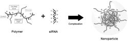 CHITOSAN-CONTAINING NANOPARTICLES FOR DELIVERY OF POLYNUCLEOTIDES