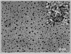 GRAPHENE QUANTUM DOT/POLYMER ANTIBACTERIAL AND ANTIVIRAL COMPOSITE FIBER AND PREPARATION METHOD THEREFOR