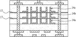 PACKAGE CARRIER BOARD INTEGRATED WITH INDUCTIVE CIRCUIT STRUCTURE AND MANUFACTURING METHOD THEREOF