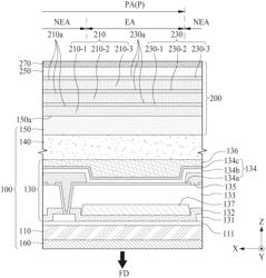 VIBRATION APPARATUS AND DISPLAY APPARATUS INCLUDING THE SAME