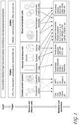 Treatment of sepsis and related inflammatory conditions by local neuromodulation of the autonomic nervous system