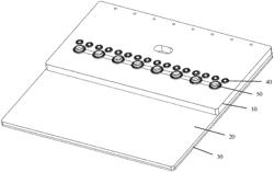 Microfluidic chip