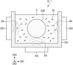 Apparatus for separating semiconductor elements and method for fabricating light-emitting elements using the same