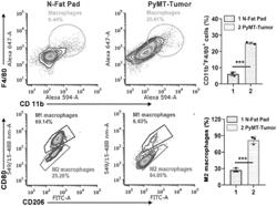 PI3K INHIBITORS, NANOFORMULATIONS, AND USES THEREOF