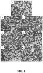 PHYTOCANNABINOID FORMULATIONS AND METHODS FOR EXTRACTION