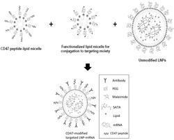 Lipid Nanoparticle Therapeutics that Evade the Immune Response