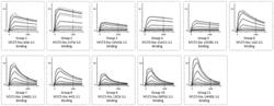 ANTIBODIES TARGETING FLT3 AND USE THEREOF