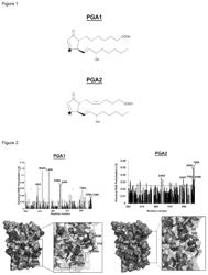 Co-crystals of NURR1-lbd in complex with a cyclopentenone prostaglandin and modulators of NURR1