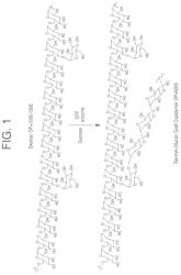 Dextran-poly alpha-1,3-glucan graft copolymers and synthesis methods thereof