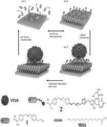 Lipid bilayer membrane mimic