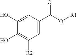 PALLADIUM FIXING USING GALLIC ACID OR ITS DERIVATIVE