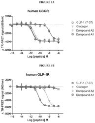 GLUCAGON-RECEPTOR SELECTIVE POLYPEPTIDES AND METHODS OF USE THEREOF