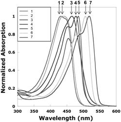 Blue-Excitable Water-Solvated Polymeric Dyes