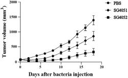 ATTENUATED SALMONELLA GALLINARUM EXPRESSING FLIC OR FLIC-HIL2 AND USES THEREOF