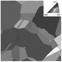 METHOD OF FORMING A DYNAMICALLY TRANSFORMABLE NANOTWINNED STRUCTURE IN AN AUSTENITE STEEL ALLOY