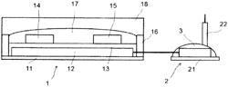 TRANSISTOR-TYPE POLYAMINE SENSOR