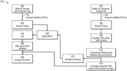 HIGH-RESOLUTION AGE DIFFERENTIATION OF JURASSIC-SOURCED OILS ACROSS THE NORTH ATLANTIC MARGINS