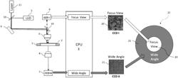 High-Speed Reading by Combining Transmissive Wide Angle View with Reflective Focus View