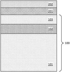 HETEROGENEOUS INTEGRATION OF DEVICE DIE HAVING BSPDN