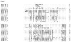 Nucleotide sequences and corresponding polypeptides conferring modified phenotype characteristics in plants