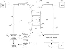 Electrolyzer and method of use