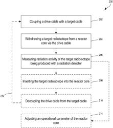 Method for periodically measuring the total gamma radiation activity of a target radioisotope being produced inside a nuclear reactor core