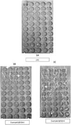 A COMPOSITE SYSTEM FOR AGRICULTURE