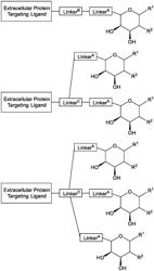 ASGPR-BINDING COMPOUNDS FOR THE DEGRADATION OF EXTRACELLULAR PROTEINS