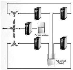 POLYMER NANOPARTICLE AND METHOD OF PREPARING SAME